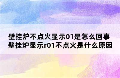 壁挂炉不点火显示01是怎么回事 壁挂炉显示r01不点火是什么原因